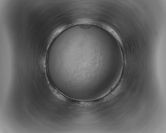 X0000116650954200912211444
