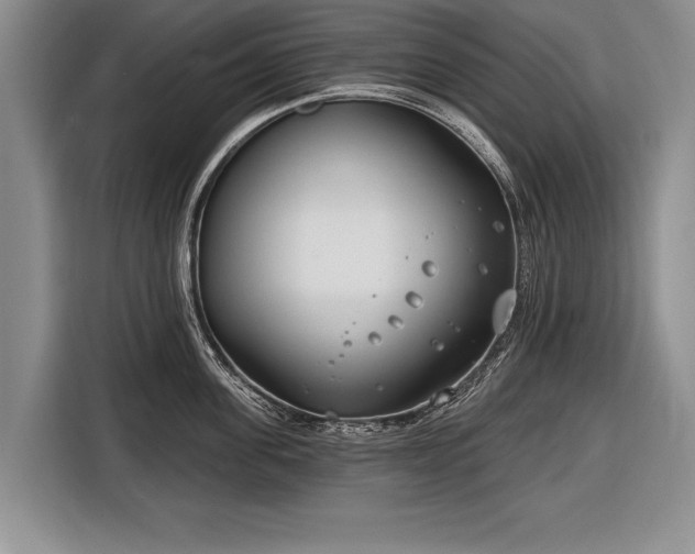X0000116650955200912211444