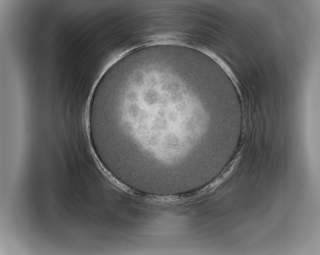 X0000116650957200912211444