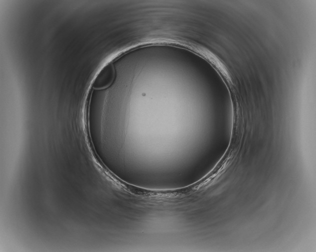 X0000116650958200912211444