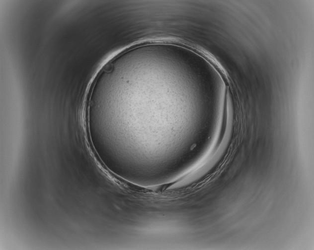 X0000116650959200912211444