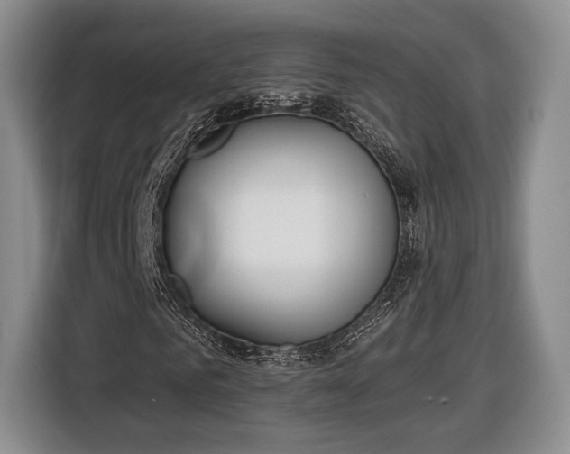X0000116650961200912211444