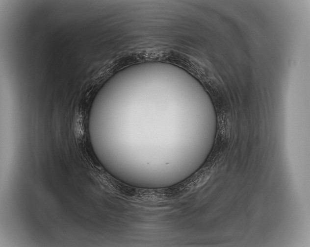 X0000116650962200912211444