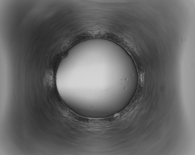 X0000116650963200912211444