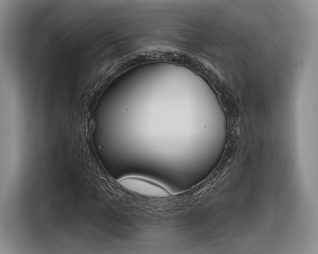 X0000116650965200912211444