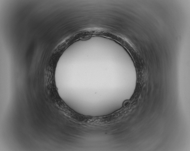X0000116650967200912211444