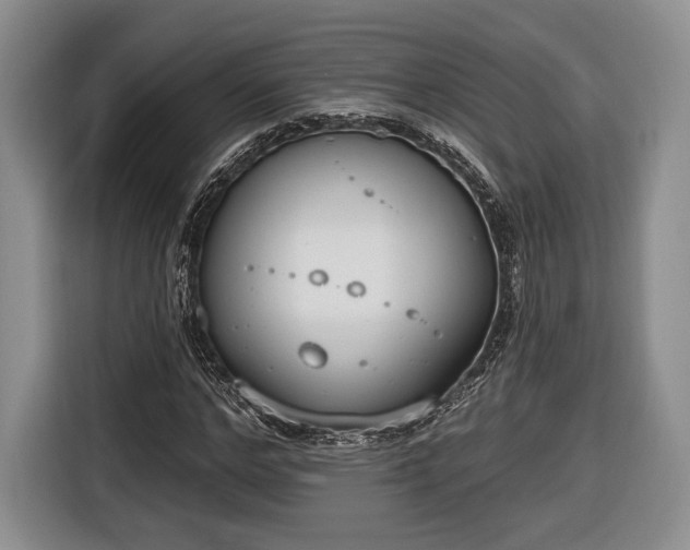 X0000116650968200912211444