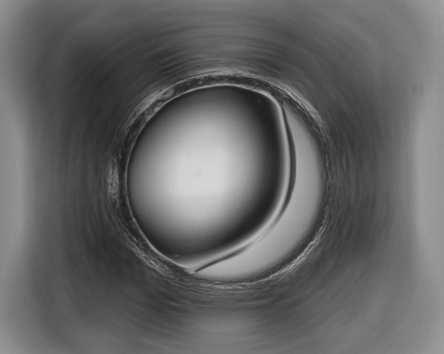 X0000116650969200912211444
