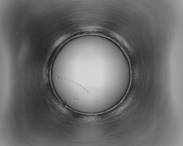 X0000116650970200912211444