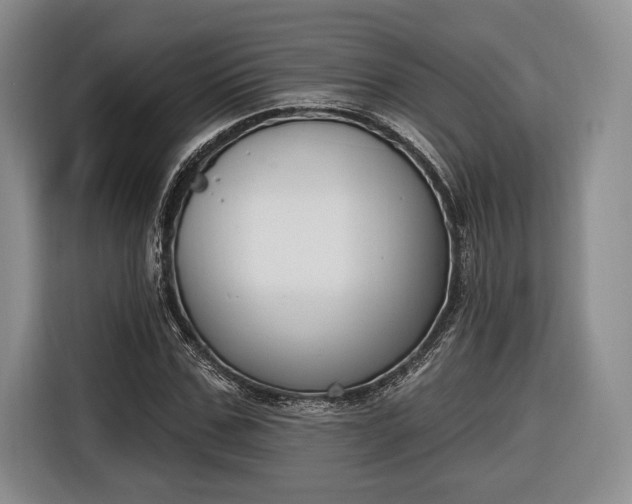 X0000116650971200912211444