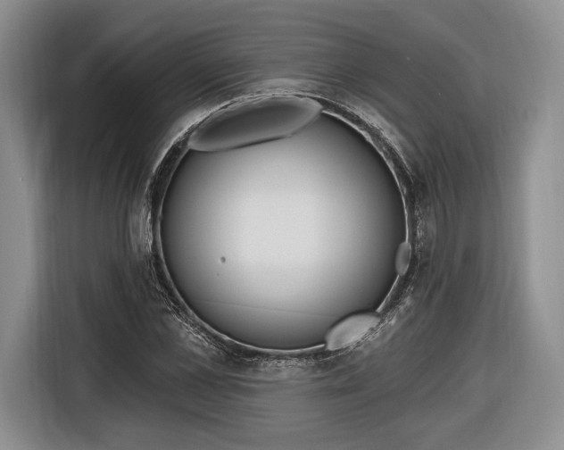 X0000116650973200912211444