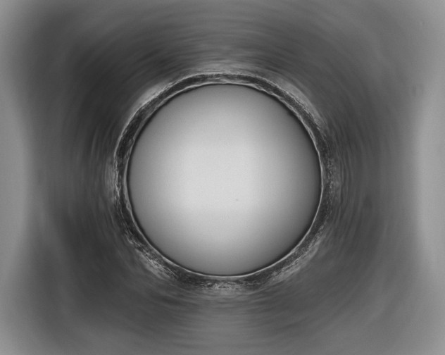 X0000116650974200912211444