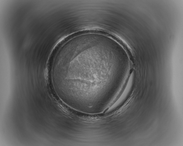 X0000116650975200912211444