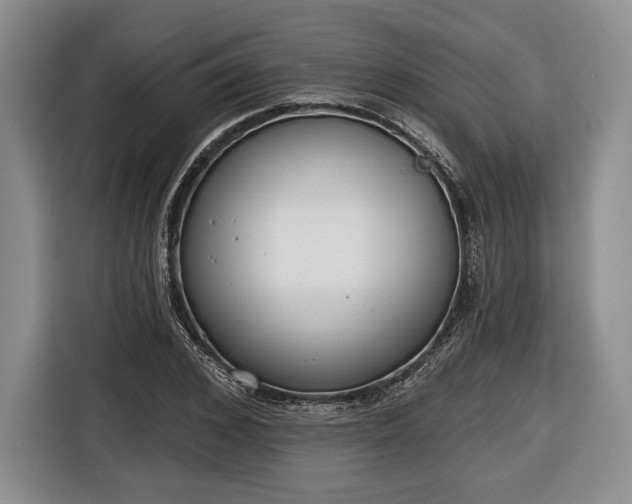 X0000116650976200912211444