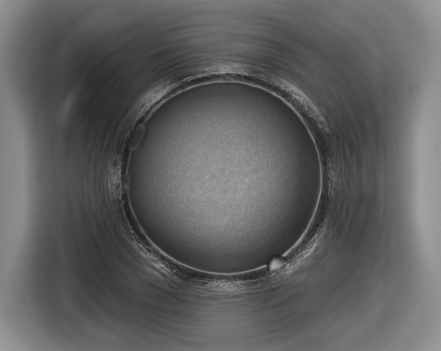 X0000116650977200912211444