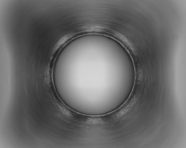 X0000116650978200912211444