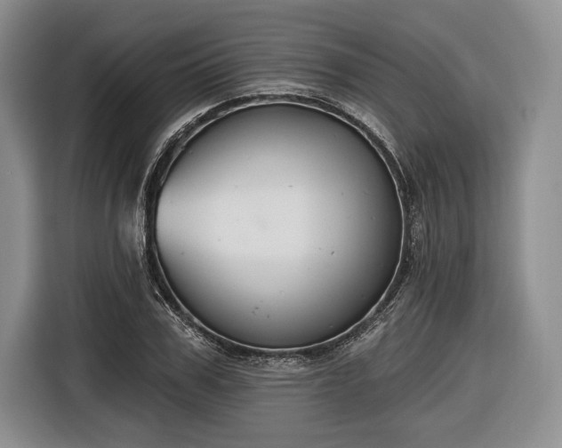 X0000116650979200912211444