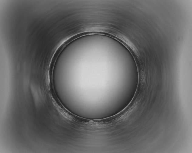 X0000116650980200912211444