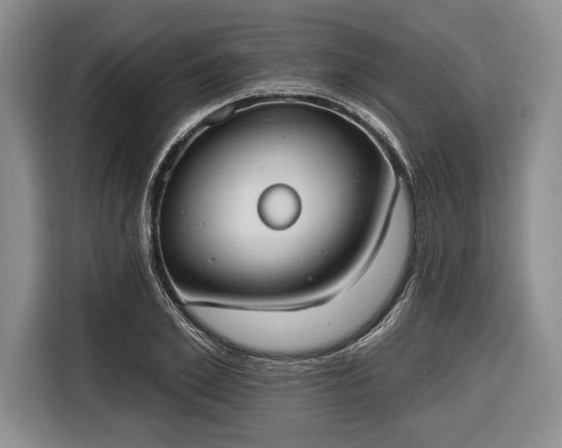 X0000116650981200912211444