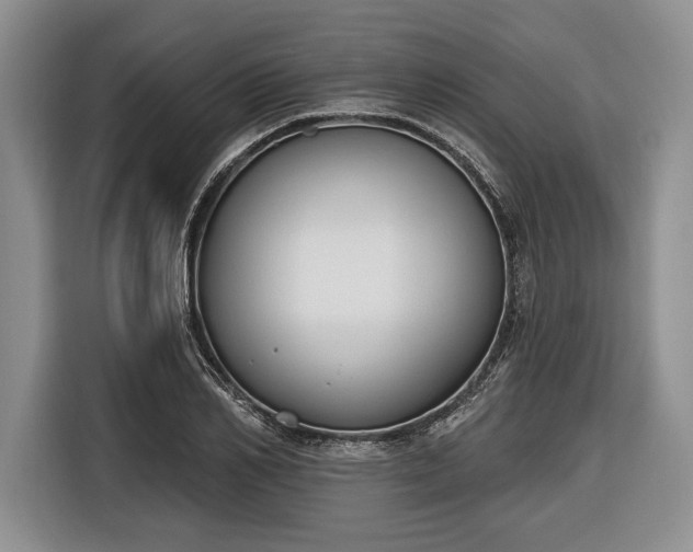 X0000116650982200912211444