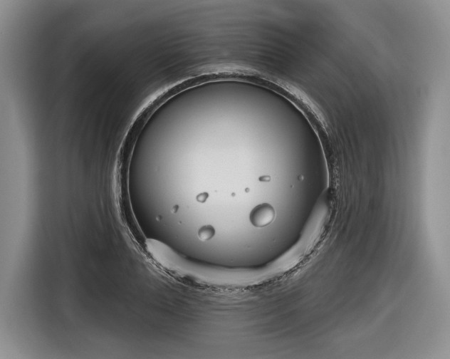 X0000116650983200912211444