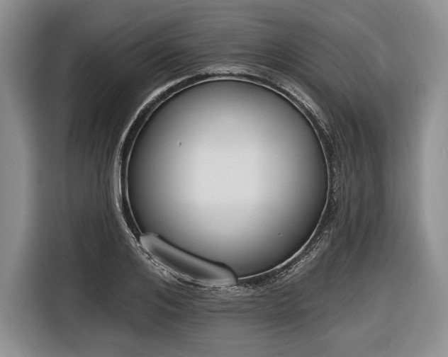 X0000116650984200912211444