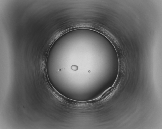 X0000116650985200912211444