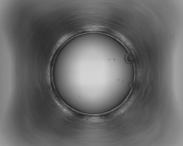 X0000116650986200912211444