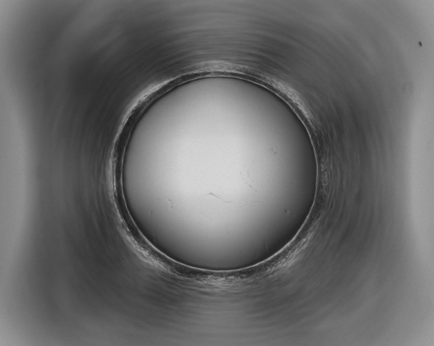 X0000116650987200912211444