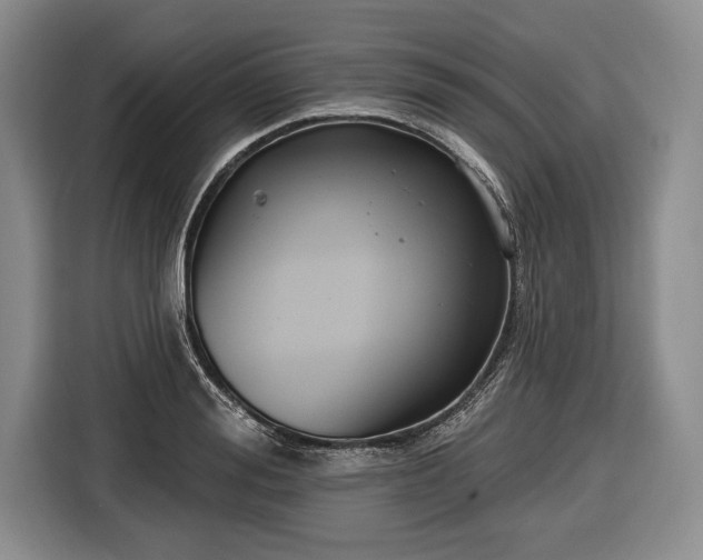 X0000116650988200912211444