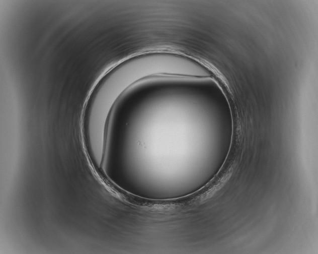 X0000116650989200912211443