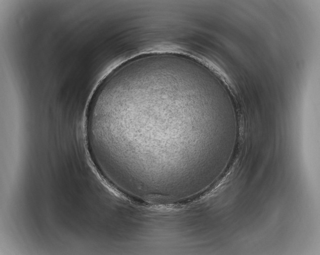 X0000116650990200912211443