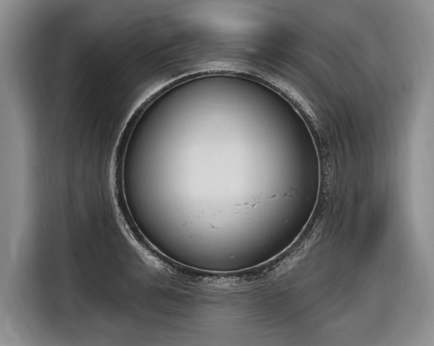 X0000116650991200912211443