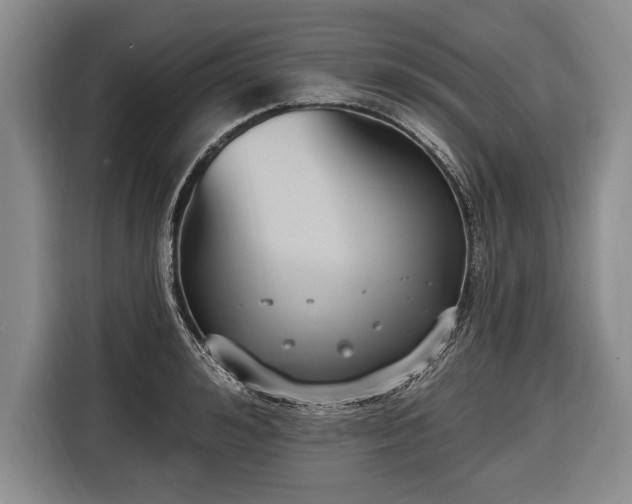 X0000116650992200912211443