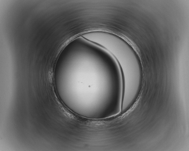 X0000116650993200912211443