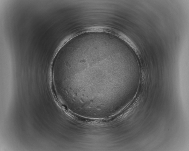 X0000116650994200912211443