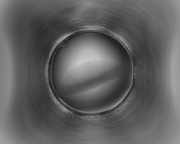 X0000116650995200912211443