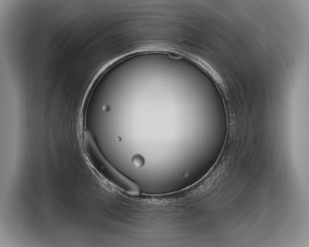 X0000116650996200912211443