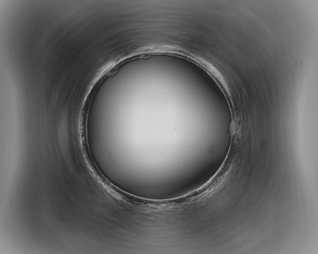 X0000116650997200912211443