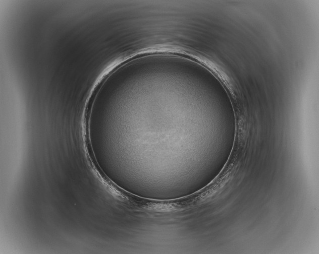 X0000116650998200912211443