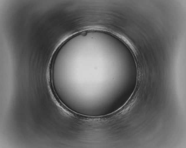 X0000116650999200912211443