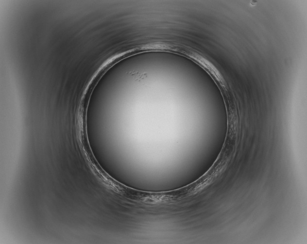 X0000116651000200912211443