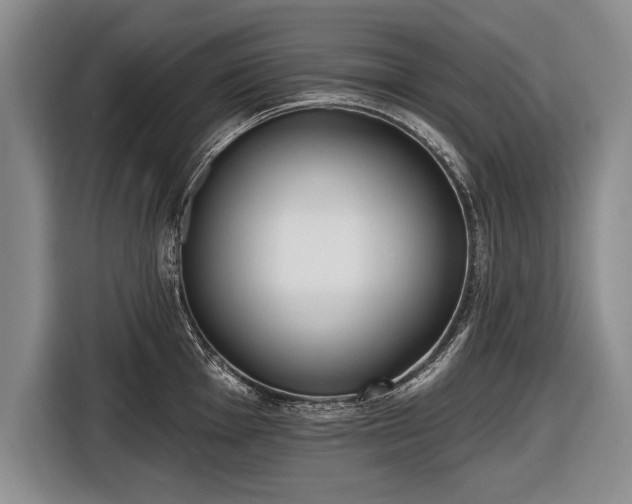 X0000116651001200912211443