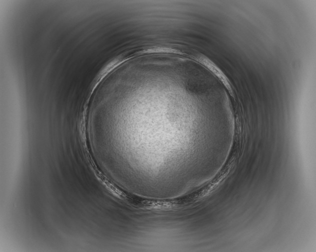 X0000116651002200912211443