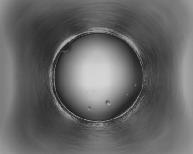 X0000116651003200912211443