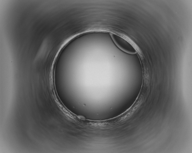 X0000116651004200912211443