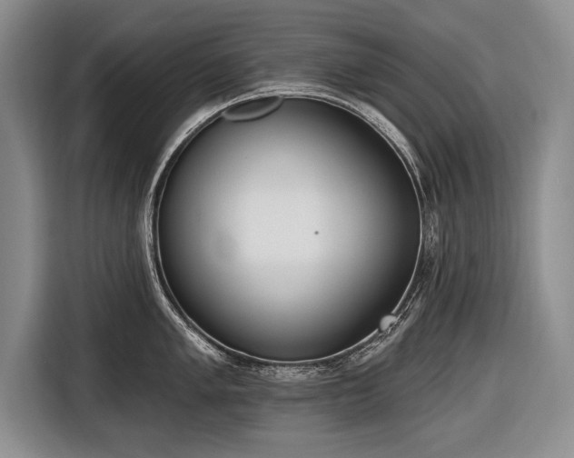 X0000116651005200912211443