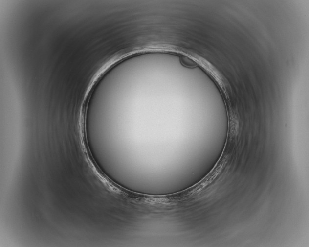 X0000116651006200912211443