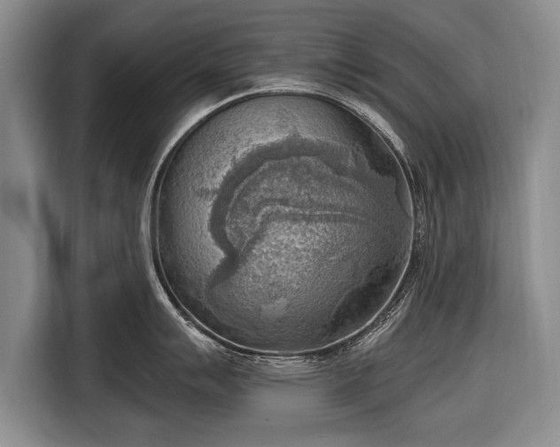 X0000116651007200912211443