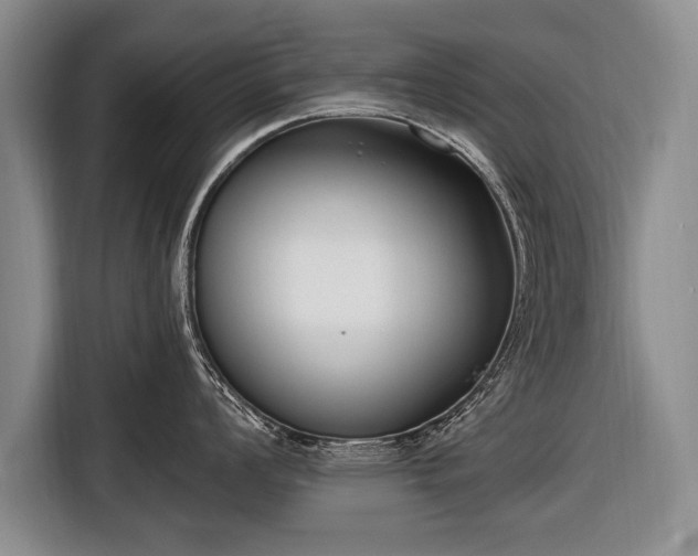 X0000116651008200912211443